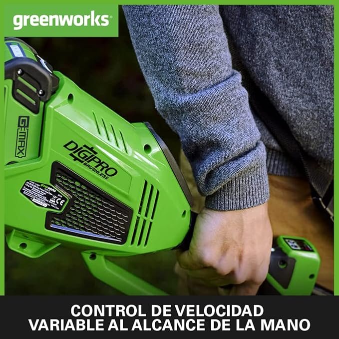 desbrozadora a bateria Greenworks GD40BCK2X