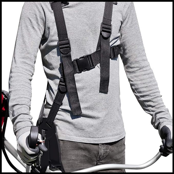 desbrozadora Einhell GC-BC 36-4 S